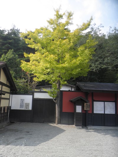 icho231011