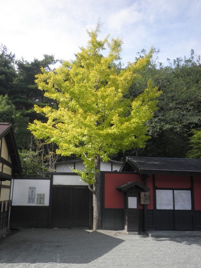 icho231017