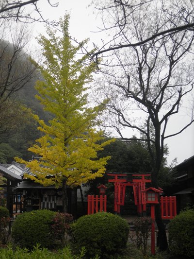 icho231024