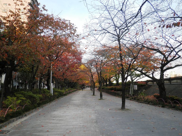 kouen221130