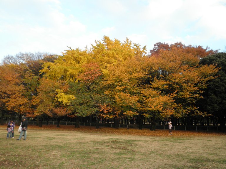 kouyou221127