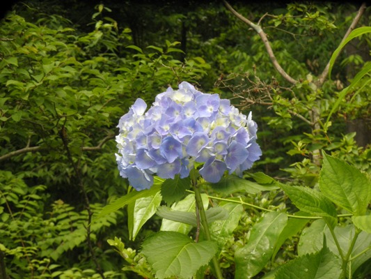 muaji230702