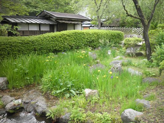 shoubu230607