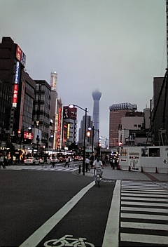 sukaii22713