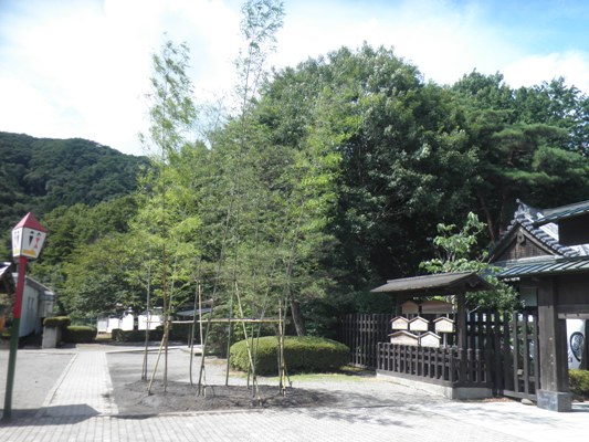 take230730