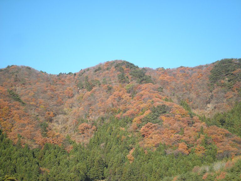 yama221130