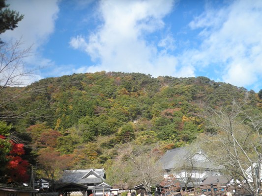 yama231115