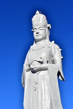 tkannon201812