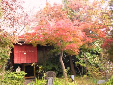 imai322